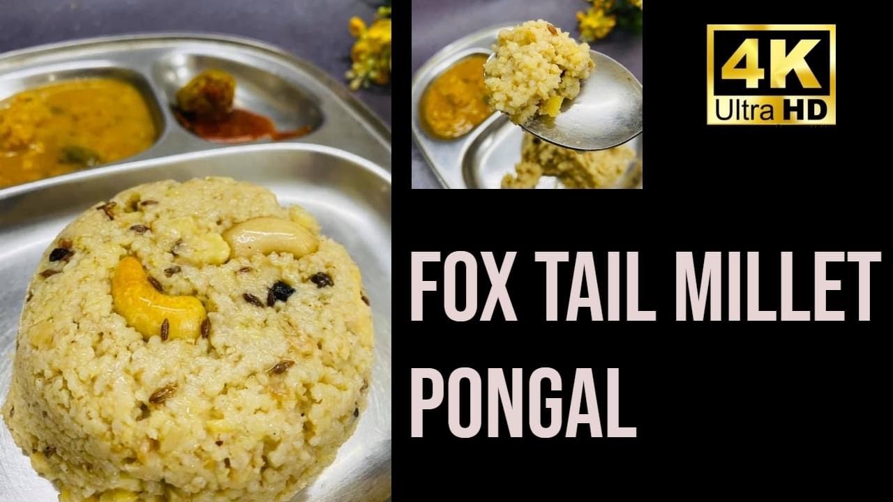 Foxtail millets Pongal | Thinai Pongal | Foxtail Millet Recipe Healthy Recipes Foxtail millets Pongal | Thinai Pongal | Foxtail Millet Recipe Healthy Recipes