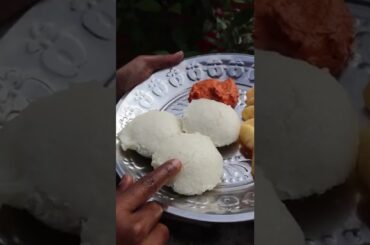 Breakfast Recipes ideas Weightloss diet plan in tamil