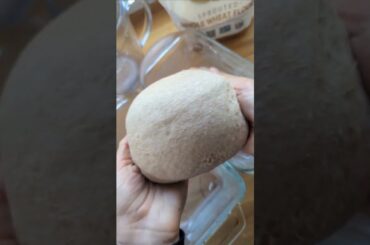 Sprouted Wheat Bread Recipe #shorts #recipes