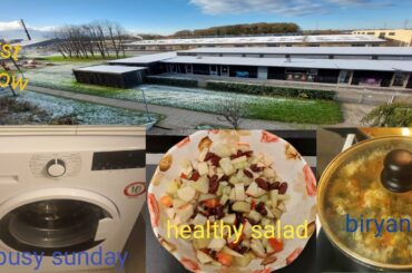 Busy mom routine/healthy salad/snowfall/biryani/Asian family in Denmark