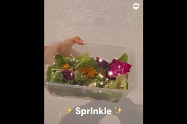 Get your Healthy Salad Ingredients on Paleo Robbie app