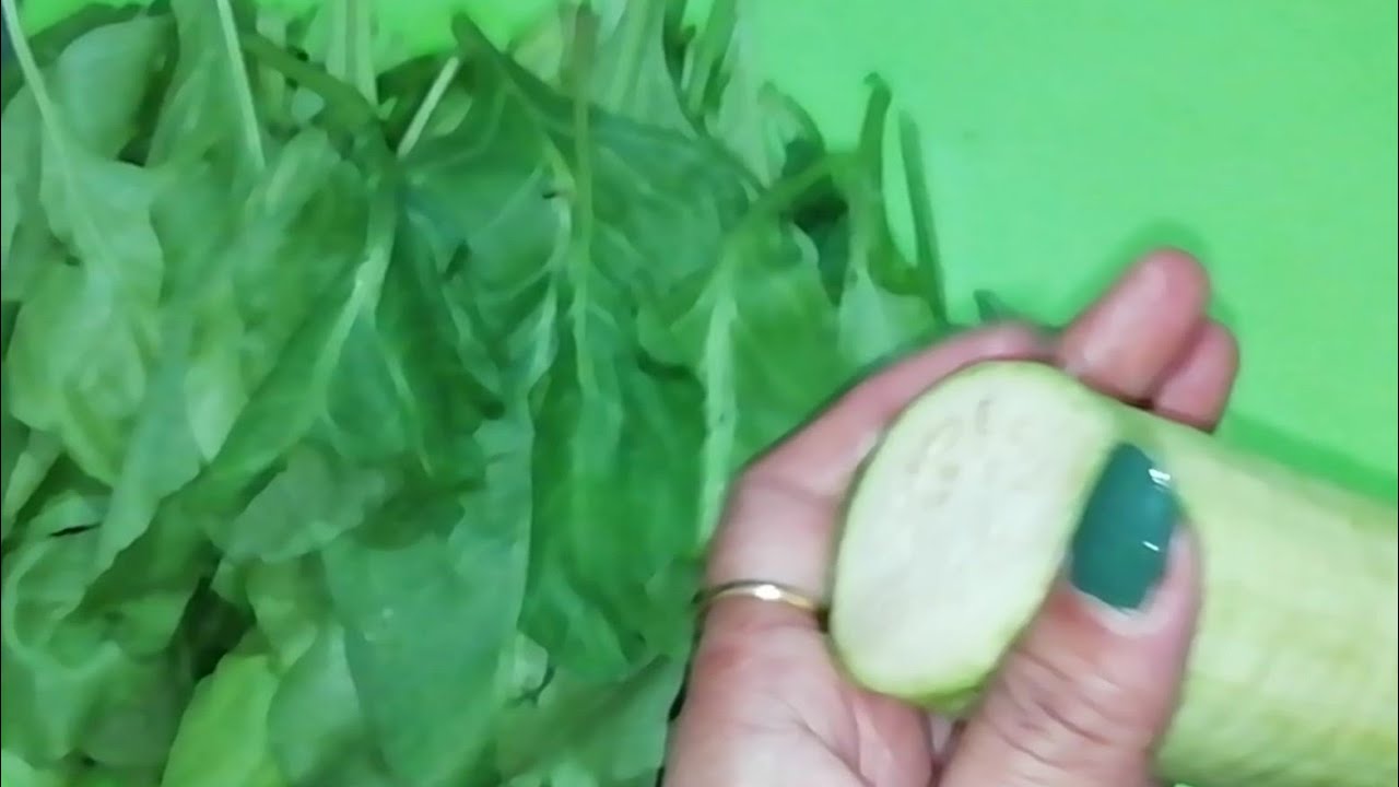 New Healthy and Non Oily Snack Recipe|Spinach Breakfast Recipe New Healthy and Non Oily Snack Recipe|Spinach Breakfast Recipe