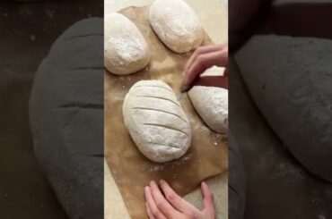 European style whole wheat bread is healthy Episode 189 #shorts