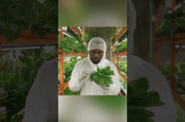 Leafy Greens: The Weight Loss Secret That You’ve Been Overlooking  #healthandwellness #weightloss