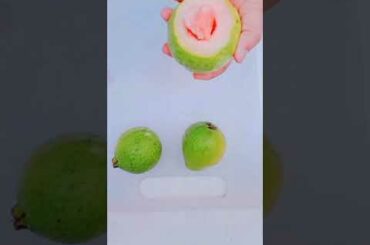 Mumbai's Zero Waste Guava Juice | Guava Juice Recipe | Homemade Guava Juice | #shorts #shortvideo