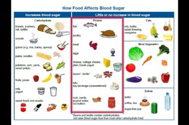 Adult Type 2 Diabetes - 4. Nutrition Basics