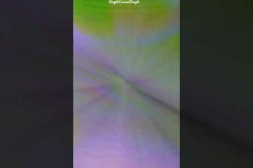 Palak Paratha Recipe for Healthy Lunch/Dinner #cooking #shorts