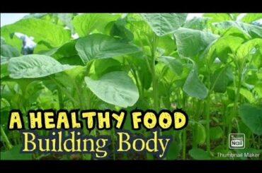 Healthy Food Recipes For Body