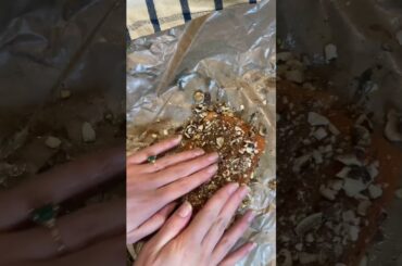 Crusted Salmon Air Fryer Recipe | Air Fryer Meal | Healthy Dinner