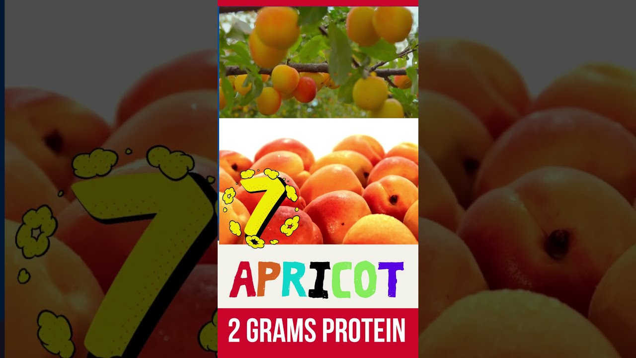 top 10 high rich protein fruits #shorts| protein|| high protein fruits| #protein |#healthyfruits| top 10 high rich protein fruits #shorts| protein|| high protein fruits| #protein |#healthyfruits|