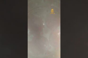 Beetroot ullikaaram recipe | steamed Beetroot with ullikaram #beetroot #healthy recipes adore amogas