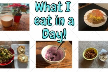 What I Eat In A Day! Healthy Meal & Snack Ideas!
