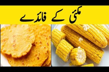 What are the Health Benifts of Flat Bread ||Makkai ke fayde|| Beauty And Health Clinic