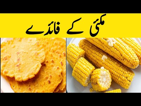 What are the Health Benifts of Flat Bread ||Makkai ke fayde|| Beauty And Health Clinic What are the Health Benifts of Flat Bread ||Makkai ke fayde|| Beauty And Health Clinic