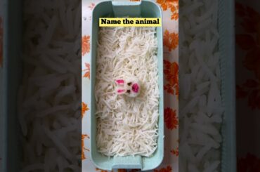 Guess the animal | kadhi chawal | Tiffin recipes | earthquake #shorts