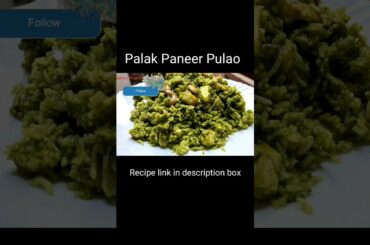 Healthy Palak paneer Pulao Recipe| Palak Paneer Pulao | Spinach Rice #shorts