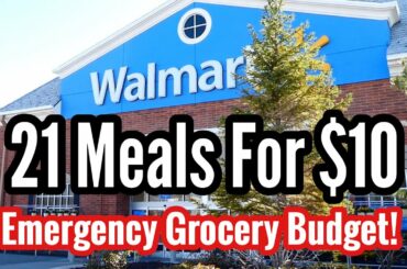 HOW TO EAT FOR $10 A WEEK | Emergency Grocery Budget Haul & Cheap Easy Meal Ideas | Julia Pacheco