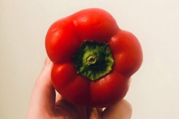 The BEST TUNA SALAD Recipe #healthy #weightloss #tuna