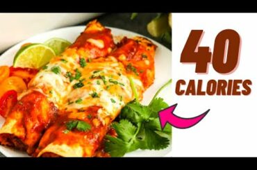 40 CALORIE SPICY VEGGIE ENCHILADAS- Low calorie meals