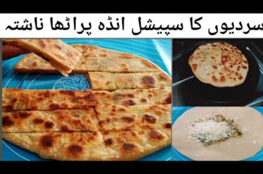 Egg Cheese Paratha Recipe | Cheese Stuffing Paratha | Egg Cheese Paratha