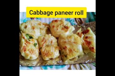 cabbage paneer roll ||healthy snacks recipe @tangybitesK.F.S