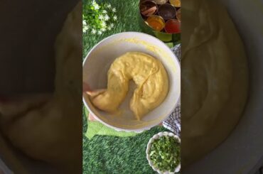 High Protein Kothambir Vadi ! Non Fried Healthy Snack Recipe. One Piece is just 35 Calories.