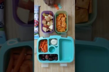 Lunchbox Ideas for kids| Healthy and Tasty Lunchbox #SHORTS2022