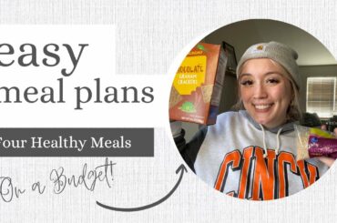 PLAN YOUR MEALS WITH ME | SCHEDULED SUNDAY | FOUR HEALTHY MEAL IDEAS THAT COST LESS THAN $100