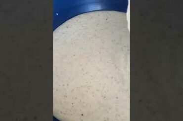 #shorts | Moong Dal Dosa 3 | Instant High Protein Dosa | Weight Loss Recipe | Thyroid/ PCOS Recipes