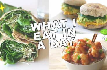 WHAT I EAT IN A DAY! // Healthy & Easy Recipes (#13)