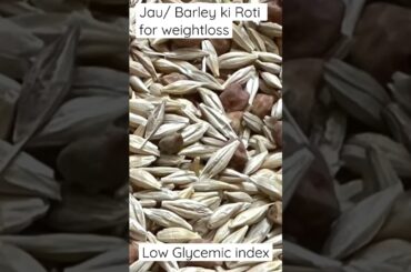 Jau ki Roti for Weight Loss|Barley Roti for weight loss|Barley Chapati Diabetic food Diabetic roti