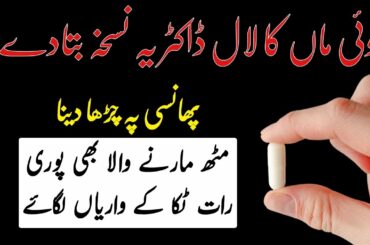 Akar Karha Mix Mosli Safaid With Salab Misri and You Will Thank Me - Simple Recipe