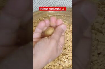 #quick besan laddu#shorts #youtubeshorts#healthy less ghee besan laddu #recipe