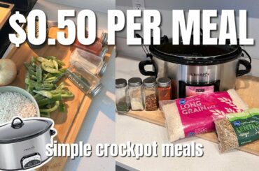 50 Cent MEALS! Easy Healthy and Affordable Crockpot Meals | Dirt Cheap Crockpot Meals to Save Money!