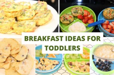 BREAKFAST IDEAS FOR TODDLERS |3 HEALTHY MEALS FOR KIDS #kidsbreakfastrecipe