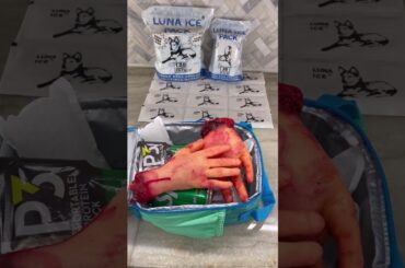 11-Sec Healthy School Lunch Packing idea|LUNA ICE #LunaIce #QuickLunch #HealthyEats #joke #lunchbox