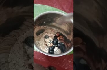 Healthy Breakfast Ideas#Smoothie Recipe#shorts#viral