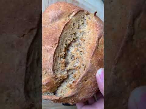 easy HEALTHY multigrain bread from scratch #shorts easy HEALTHY multigrain bread from scratch #shorts