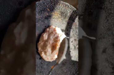 Healthy breakfast with carrots |megna’s diary #youtubeshorts #youtuber #shorts #megna #shortvideo