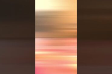 How I Eat Satvic in a Day