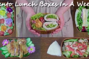 Bento Lunch Boxes In A Week | Healthy Salad Meals for Lunch