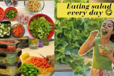 Benefits of eating salad everyday || Easy and healthy salad recipe || Garima Verma ||