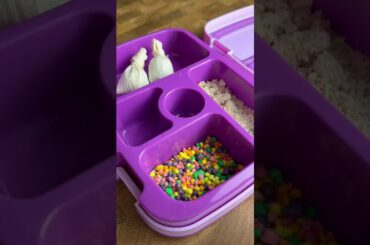 Packing School Lunch *TAMALES* #shorts