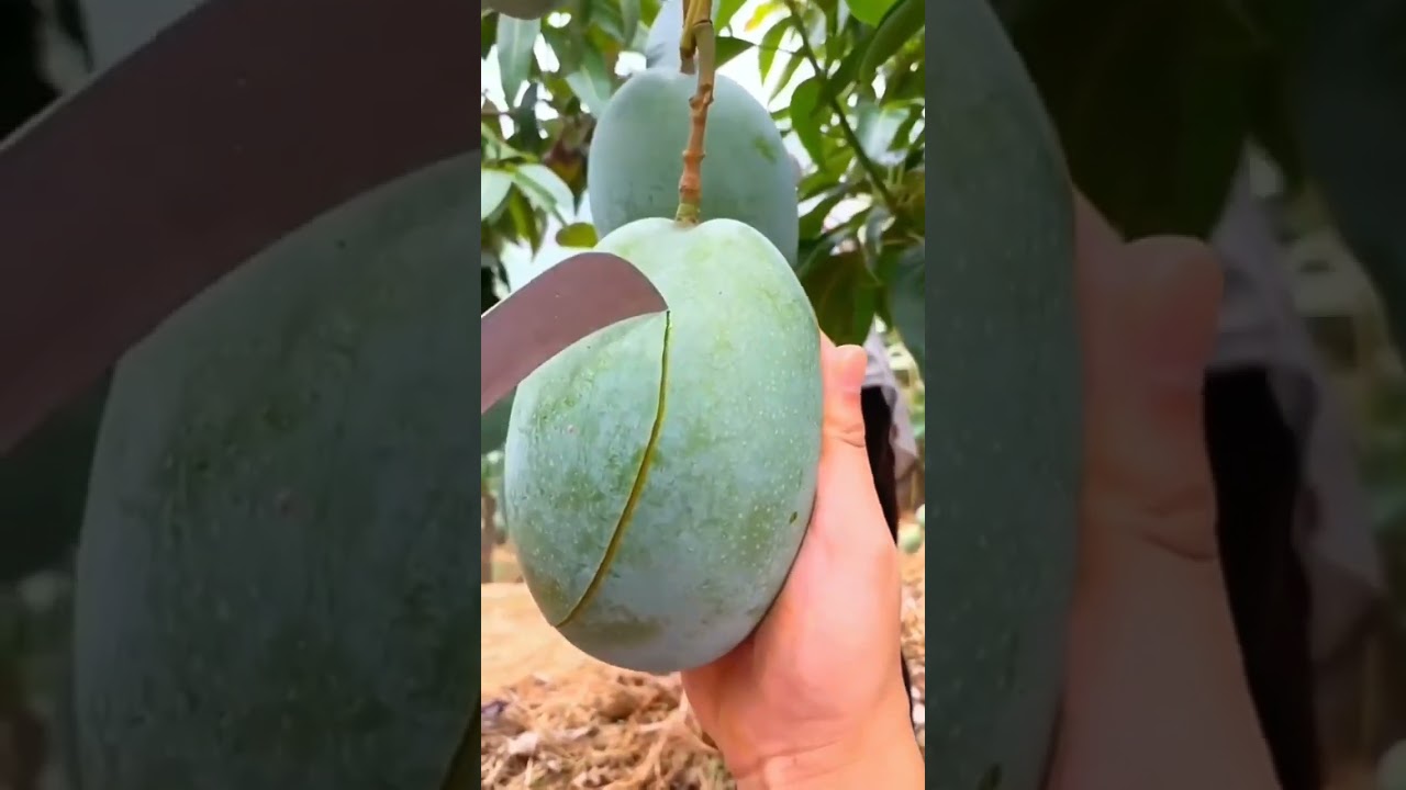 Best fruits for diet Best fruits for diet