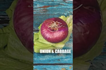 Warm Meat Salad with Cabbage and Corn | Healthy Meal. #recipes #cooking #salad #shorts