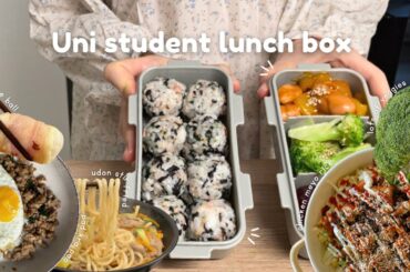 a week of Uni student lunch box *easy recipes