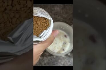 Oats coffee smoothie for weight loss-weight loss recipe/detox drink-#NATURE'S GLOW #shorts