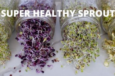 How To Grow Sprouts at Home | 4 Super Healthy Sprouts
