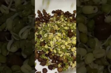 moong bean sprouts || healthy yummy sprouts  salad #youtubeshorts #qatar #health #foodie