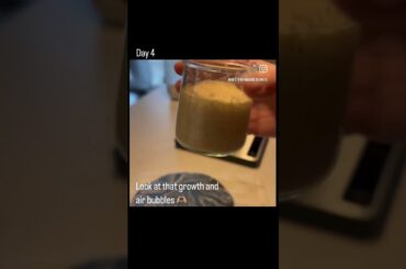 #sourdough but how to begin it! #follow along to build your starter #baking #bread #recipes #shorts